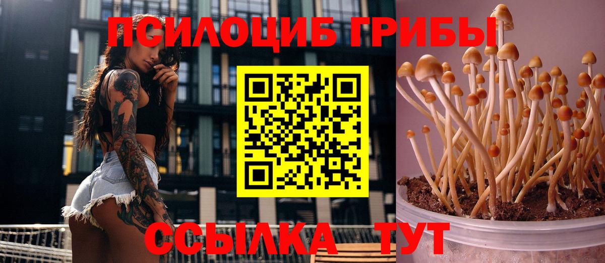 Псилоцибиновые грибы Magic Shrooms Грязи